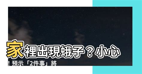 家裡出現蛾代表|家有飛蛾如何化解